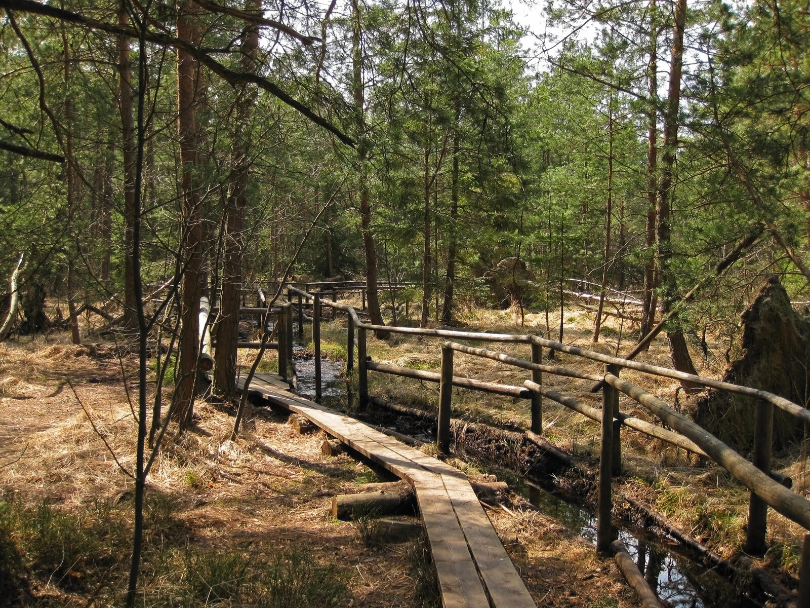 Naturpark Moor